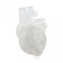 Cartouche Résine SLA Formlabs Elastic 50A