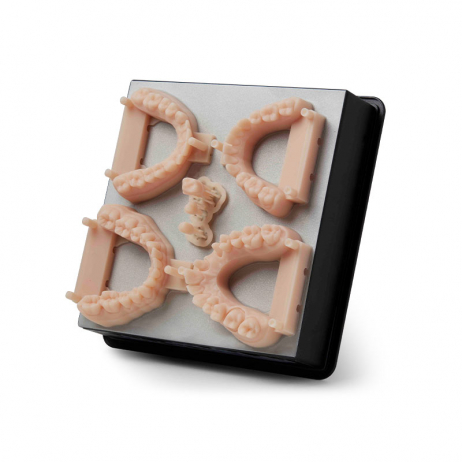 Cartouche Résine Formlabs Dental Model V3