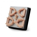 Cartouche Résine Formlabs Dental Model V3