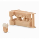 Cartouche Résine Formlabs Dental Model V2