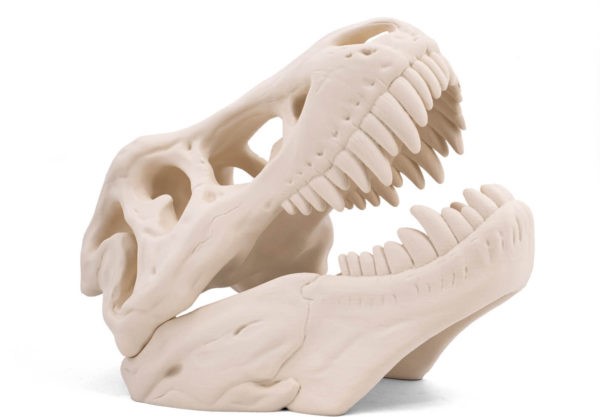 SIMUBONE BONE MODELING FILAMENT