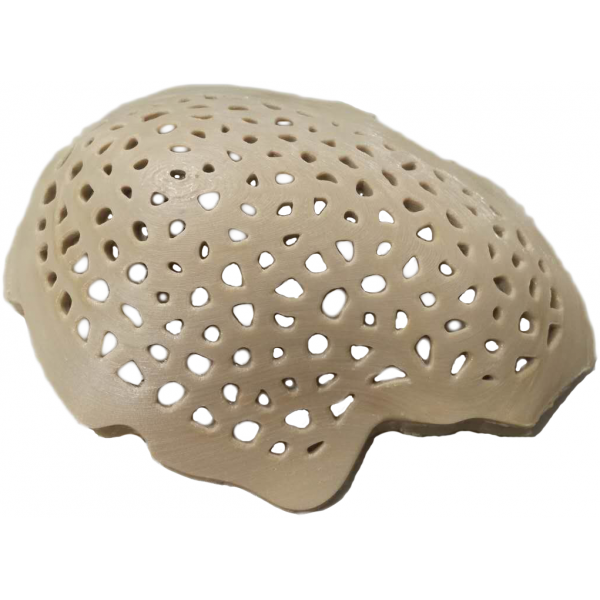 Imprimante 3D Intamsys Funmat HT Enhanced