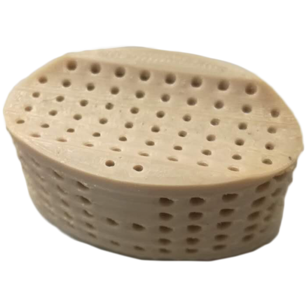 Imprimante 3D Intamsys Funmat HT Enhanced
